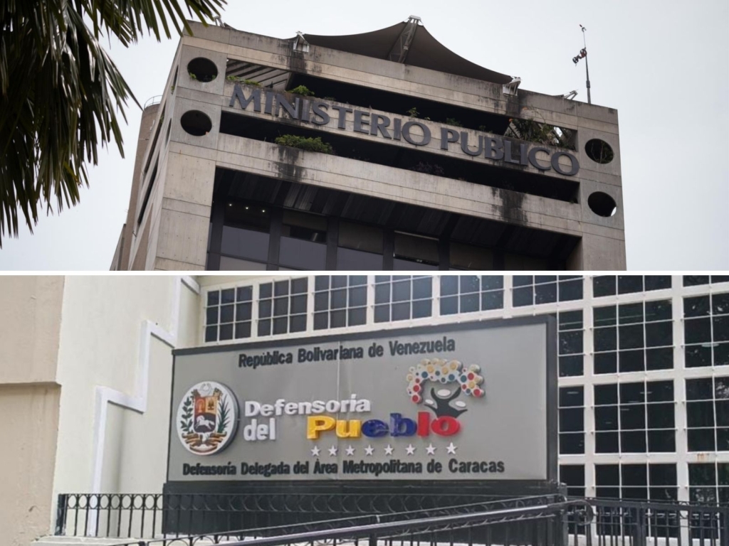 fiscal y defensor