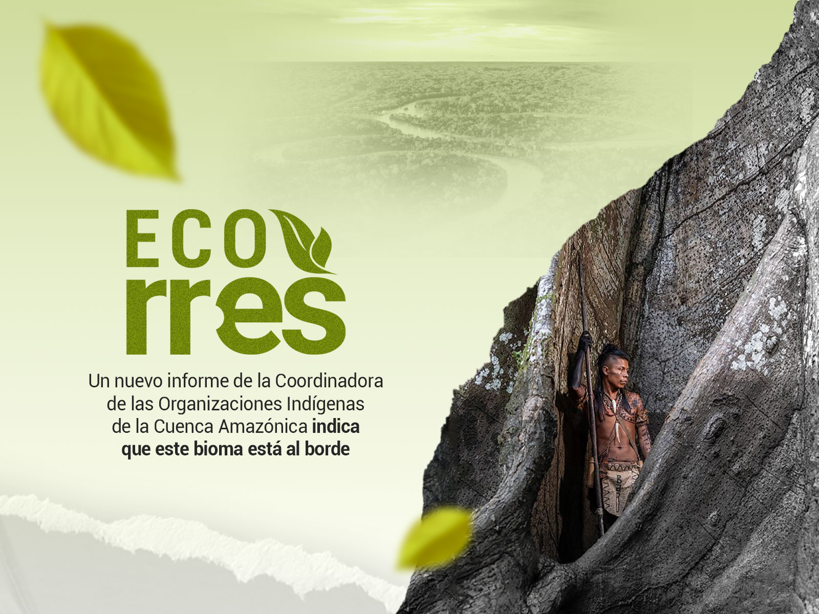 Informe Coica