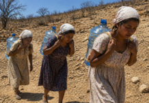 crisis climática y mujeres