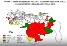 Lámina del boletín epidemiológico publicada por el MPPS en abril de 2026