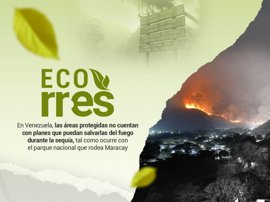 Del Henri Pittier a Uverito: incendios forestales ocurren sin que haya sanción ni prevención