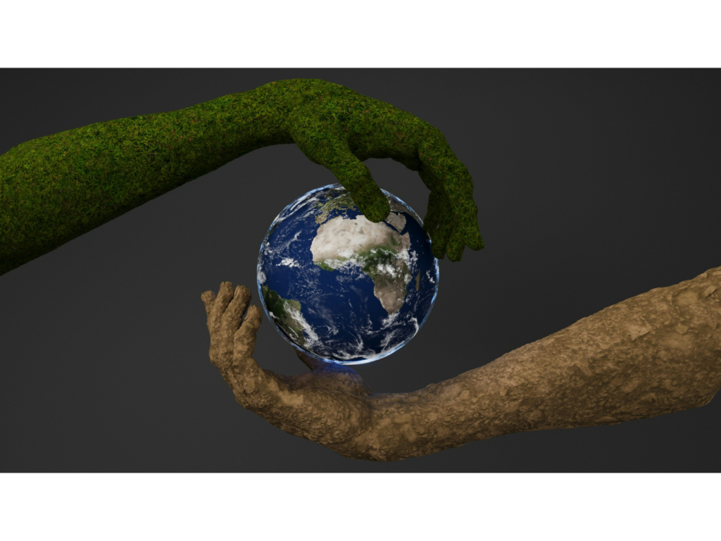 En el Día Mundial del Ambiente, organizaciones exigieron la protección de derechos humanos en materia ambiental.
