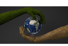 En el Día Mundial del Ambiente, organizaciones exigieron la protección de derechos humanos en materia ambiental.