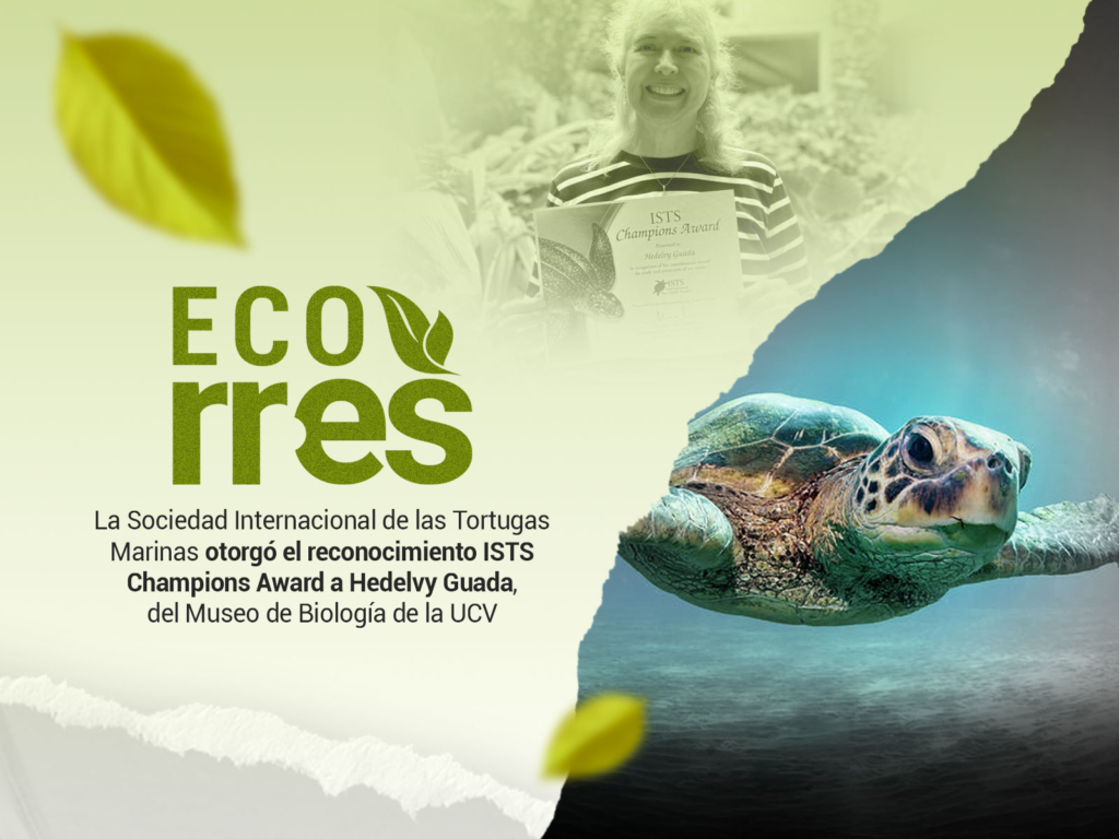 Investigadora venezolana gana premio internacional por conservación de tortugas