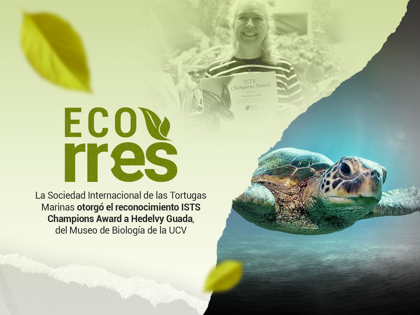 Investigadora venezolana gana premio internacional por conservación de tortugas