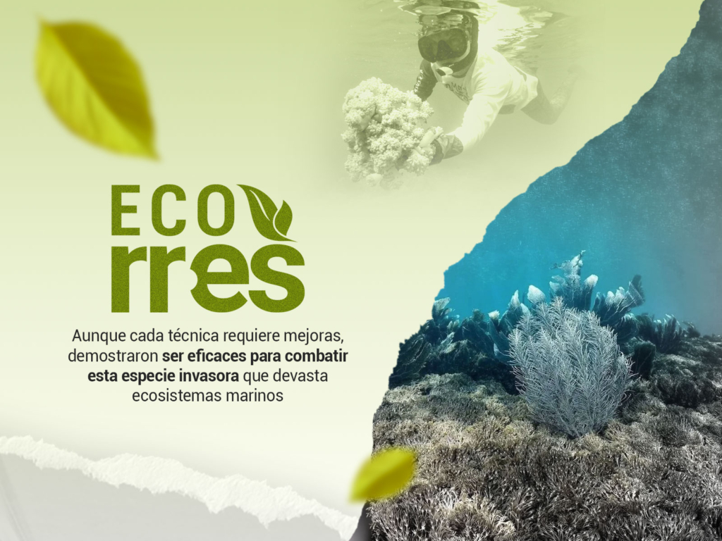 Cinco métodos para combatir el Unomia