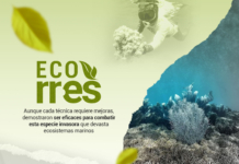 Cinco métodos para combatir el Unomia