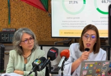 Terremotos