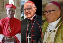 cardenales diálogo
