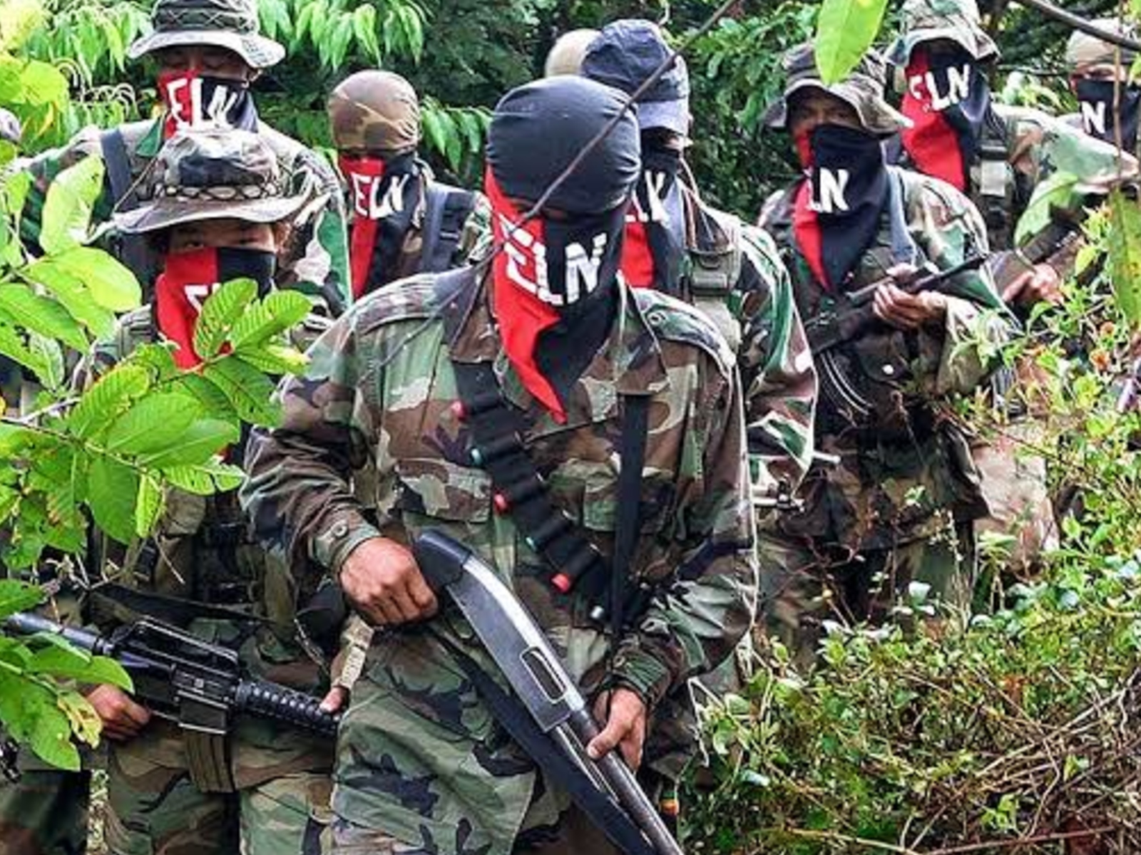 ELN VENEZUELA